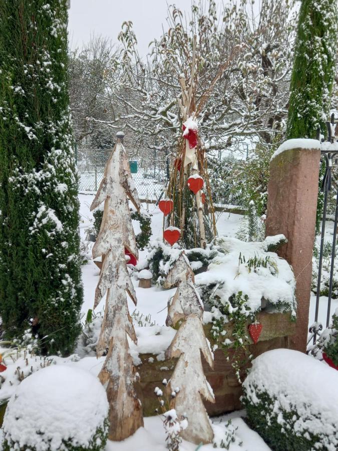 Villa L'Alcove Des P'Tits Coeurs Benfeld Esterno foto