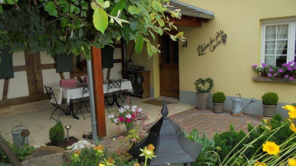 Villa L'Alcove Des P'Tits Coeurs Benfeld Esterno foto
